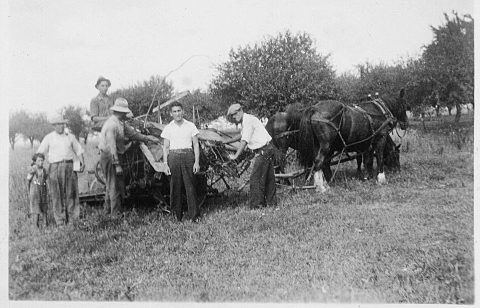 EPB002 Group of men in field with team of horses