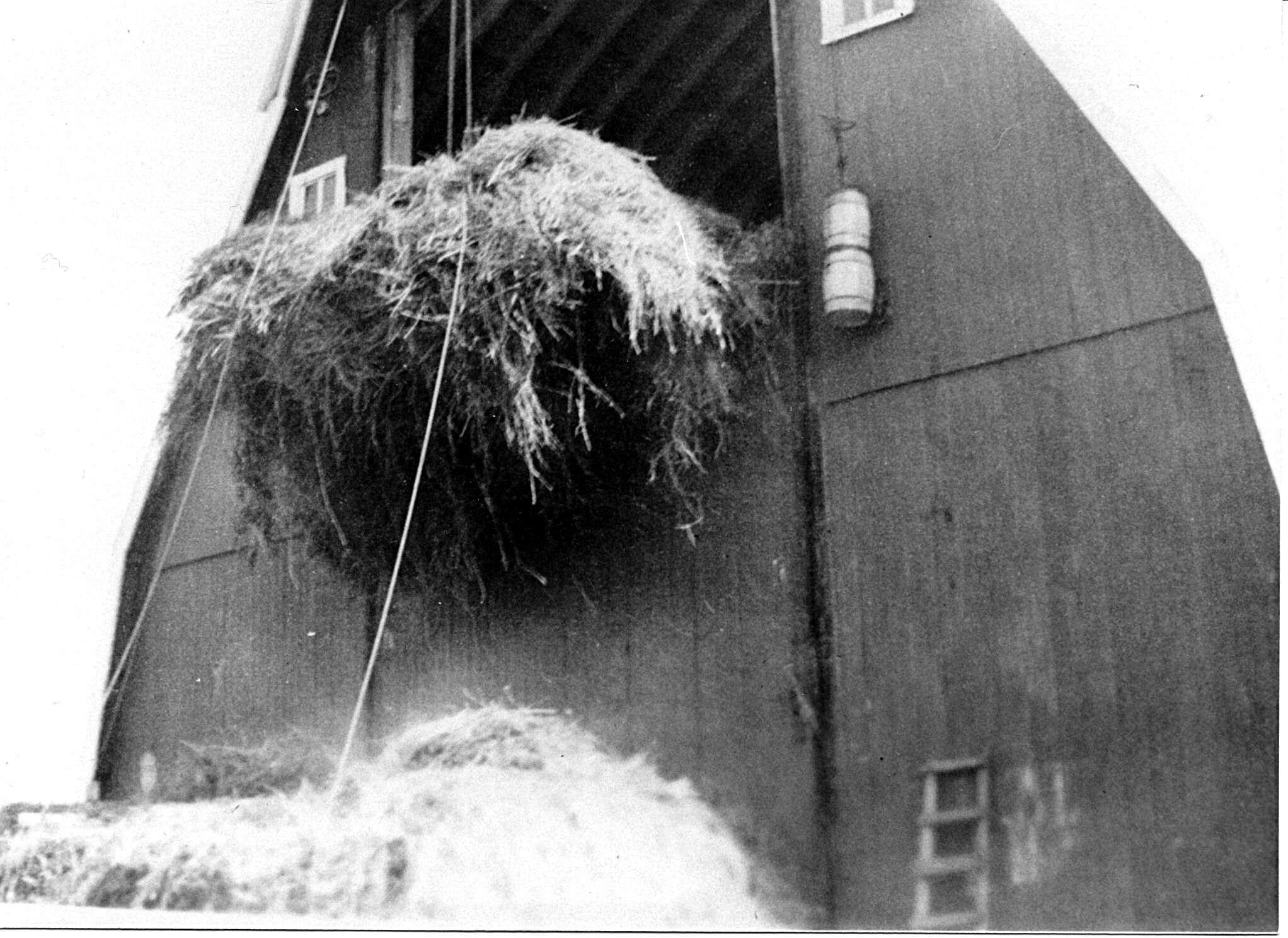 Hay & Barn
