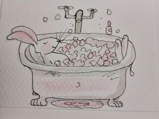 bunny-in-tub-card